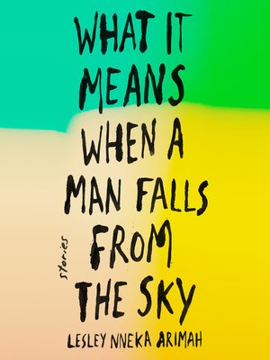 cover image of What It Means When a Man Falls from the Sky